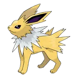Jolteon Pokémon