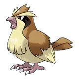 pidgey Pokémon