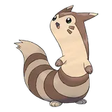 furret Pokemon