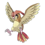pidgeotto Pokémon