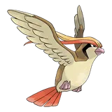 pidgeot Pokémon