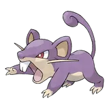 rattata Pokémon