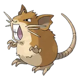 raticate Pokemon