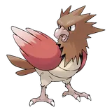 spearow Pokémon
