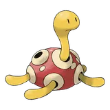 shuckle Pokemon
