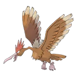 fearow Pokemon