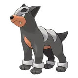 houndour Pokemon