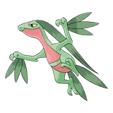 grovyle Pokemon