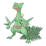 sceptile Pokemon