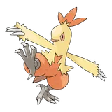 combusken Pokemon