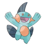 marshtomp Pokemon