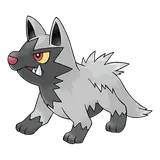 poochyena Pokemon