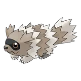 zigzagoon Pokemon