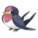 taillow Pokemon