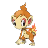 chimchar Pokemon