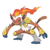 infernape Pokemon