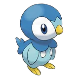 piplup Pokemon