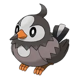 starly Pokemon