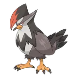 staraptor Pokemon