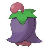 cherrim Pokemon
