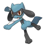 riolu Pokemon