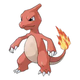 charmeleon Pokemon