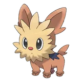 lillipup Pokemon