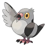 pidove Pokemon