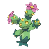 maractus Pokemon