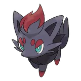 zorua Pokemon
