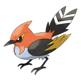 fletchinder Pokemon