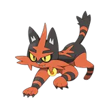 Torracat Pokémon