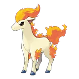 ponyta Pokemon