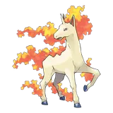 rapidash Pokemon