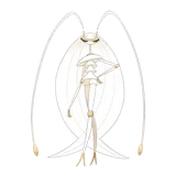 Pheromosa Pokémon