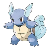 wartortle Pokemon