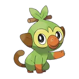 grookey Pokemon