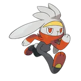 raboot Pokemon