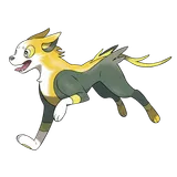 boltund Pokemon