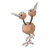 doduo Pokemon