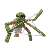 spidops Pokemon