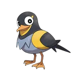 wattrel Pokemon